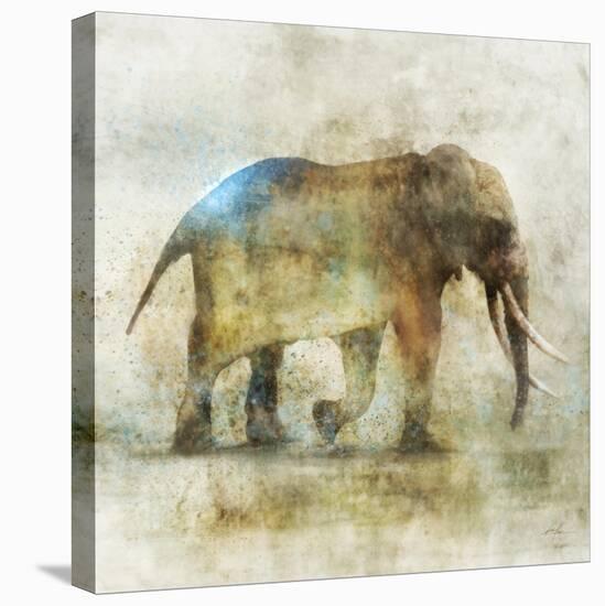 Pachyderm Dance 1-Ken Roko-Stretched Canvas