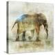 Pachyderm Dance 1-Ken Roko-Stretched Canvas
