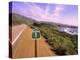 Pacific Coast Highway, California Route 1 near Big Sur, California, USA-Bill Bachmann-Premier Image Canvas