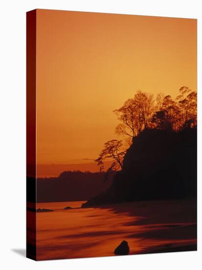 Pacific Coast Rain Forest at Dusk, Costa Rica-Robert Houser-Premier Image Canvas