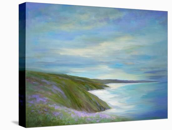 Pacific Coast-Sheila Finch-Stretched Canvas