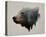 Pacific Northwest Black Bear-Davies Babies-Stretched Canvas