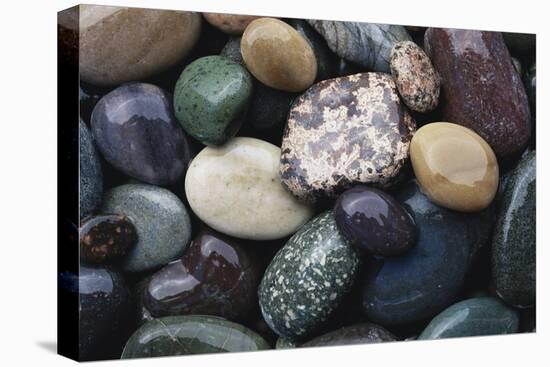 Pacific Northwest USA, Colorful River Rocks-Michele Westmorland-Premier Image Canvas