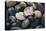 Pacific Northwest USA, Colorful River Rocks-Michele Westmorland-Premier Image Canvas