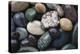 Pacific Northwest USA, Colorful River Rocks-Michele Westmorland-Premier Image Canvas