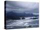 Pacific Ocean Along the Coast of Oregon-Eliot Elisofon-Premier Image Canvas