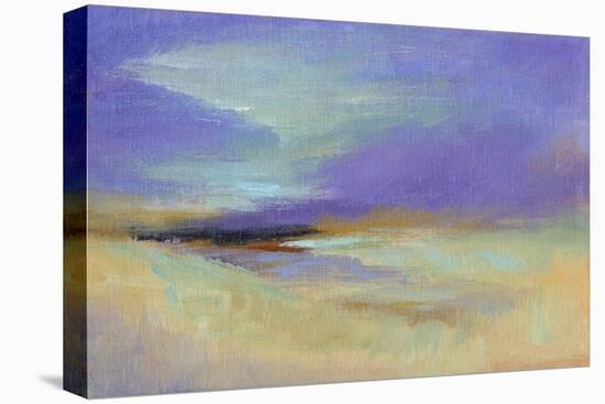 Pacific Sky-Sheila Finch-Stretched Canvas