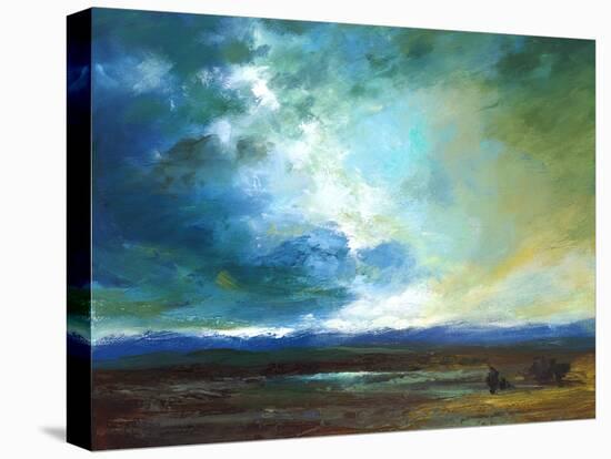 Pacific Skyscape-Sheila Finch-Stretched Canvas