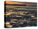 Pack Ice, Antarctic Peninsula, Weddell Sea, Antarctica, Polar Regions-Thorsten Milse-Premier Image Canvas