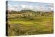 Paddy Rice Field Landscape in the Madagascar Central Highlands Near Ambohimahasoa-Matthew Williams-Ellis-Premier Image Canvas