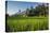 Padi Field in Lake Toba, Sumatra, Indonesia, Southeast Asia-John Alexander-Premier Image Canvas