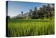 Padi Field in Lake Toba, Sumatra, Indonesia, Southeast Asia-John Alexander-Premier Image Canvas