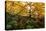 Padley Gorge, Peak District, Derbyshire, England, United Kingdom, Europe-Ben Pipe-Premier Image Canvas