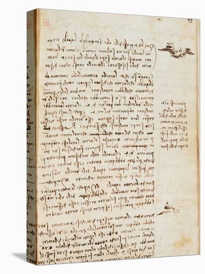 Page from the Codex Regarding the Flight of Birds-Leonardo da Vinci-Premier Image Canvas