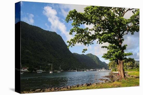 Pago Pago Bay, Tutuila Island, American Samoa, South Pacific-Michael Runkel-Premier Image Canvas