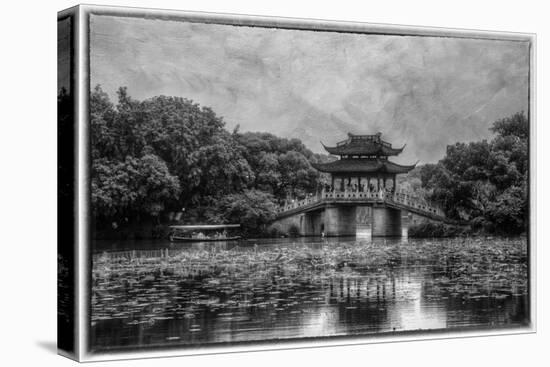 Pagoda Along the Waterfront West Lake, Hangzhou-Darrell Gulin-Premier Image Canvas