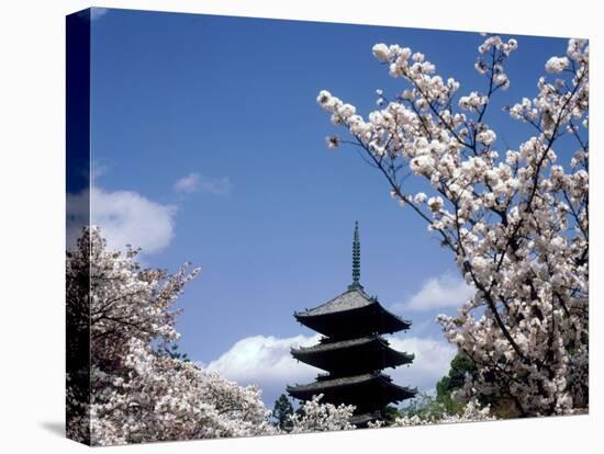 Pagoda & Cherry Blossoms, Kyoto, Japan-null-Premier Image Canvas