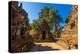 Pagoda ruins at Maha Nanda Kantha Monastery, Hsipaw, Shan State, Myanmar (Burma)-Jan Miracky-Premier Image Canvas