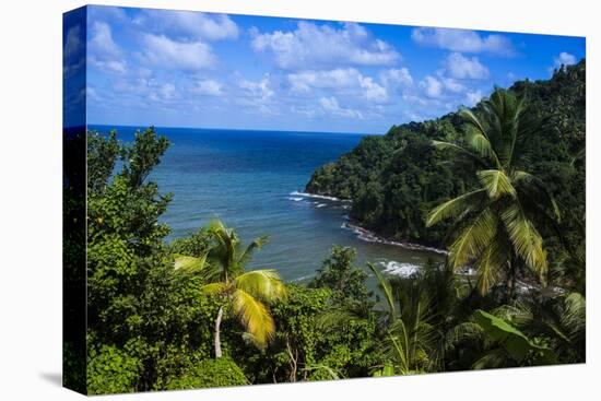 Pagua Bay in Dominica, West Indies, Caribbean, Central America-Michael Runkel-Premier Image Canvas