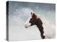 Paint Horse in the Snow-Jai Johnson-Premier Image Canvas