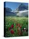 Paintbrush in Uinta National Forest, Wasatch Mountains, Mount Timpanogos Wilderness, Utah, USA-Scott T^ Smith-Premier Image Canvas