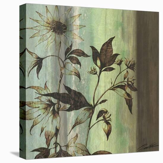 Painted Botanical I-John Butler-Stretched Canvas