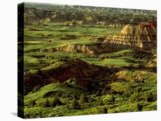 Painted Canyon in Theodore Roosevelt National Park, North Dakota, USA-Chuck Haney-Premier Image Canvas