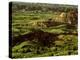 Painted Canyon in Theodore Roosevelt National Park, North Dakota, USA-Chuck Haney-Premier Image Canvas