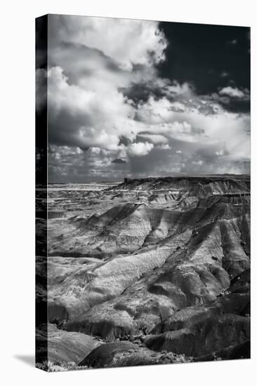 Painted Desert from Lacey Point, Petrified Forest National Park, Arizona-Jerry Ginsberg-Premier Image Canvas