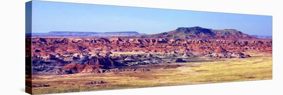 Painted Desert View-Douglas Taylor-Stretched Canvas