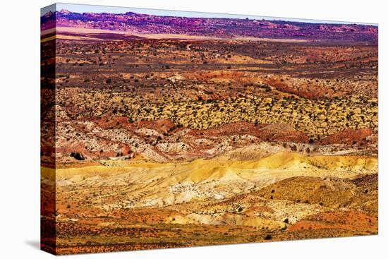 Painted Desert Yellow Grass Lands Orange Sandstone Red Fiery Furnace Arches National Park Moab Utah-BILLPERRY-Premier Image Canvas