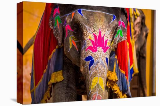 Painted Elephant, Amer Fort, Jaipur, Rajasthan, India, Asia-Laura Grier-Premier Image Canvas