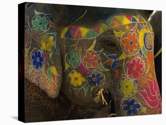 Painted Elephant, Used for Transporting Tourists, Amber Palace, Jaipur, Rajasthan, India-Jeremy Bright-Premier Image Canvas