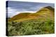 Painted Hills and golden bee plants.-Michel Hersen-Premier Image Canvas