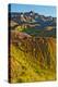 Painted Hills, Badlands Loop Trail, Badlands National Park, South Dakota, USA-Michel Hersen-Premier Image Canvas