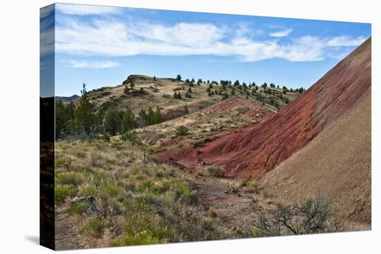 Painted Hills, John Day Fossil Beds National Monument, Mitchell, Oregon, USA-Michel Hersen-Premier Image Canvas