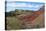 Painted Hills, John Day Fossil Beds National Monument, Mitchell, Oregon, USA-Michel Hersen-Premier Image Canvas