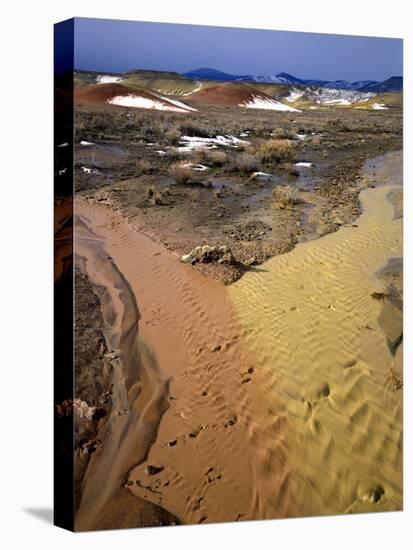 Painted Hills National Monument-Steve Terrill-Premier Image Canvas