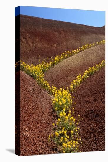 Painted Hills National Monument-Steve Terrill-Premier Image Canvas