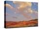 Painted Hills National Monument-Steve Terrill-Premier Image Canvas