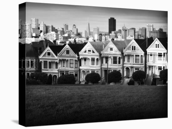 Painted Ladies Mono-John Gusky-Premier Image Canvas