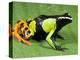 Painted Mantella in Andasibe-Mantadia National Park-Kevin Schafer-Premier Image Canvas