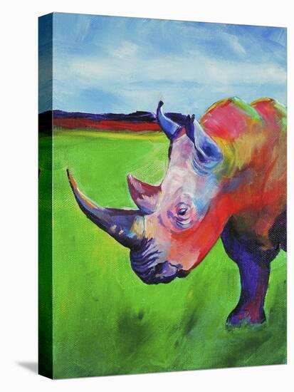 Painted Rhino-Corina St. Martin-Premier Image Canvas