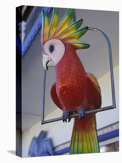 Painted Tropical Bird, St. Martin, Caribbean-Walter Bibikow-Premier Image Canvas