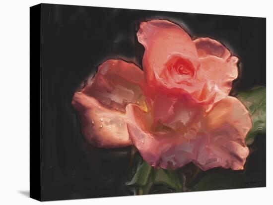 Painterly Flower IV-Lola Henry-Premier Image Canvas