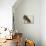 Painting in Black and Brown Colours of a Sitting Dachshund Gazing-L. Rohlwein-Premier Image Canvas displayed on a wall