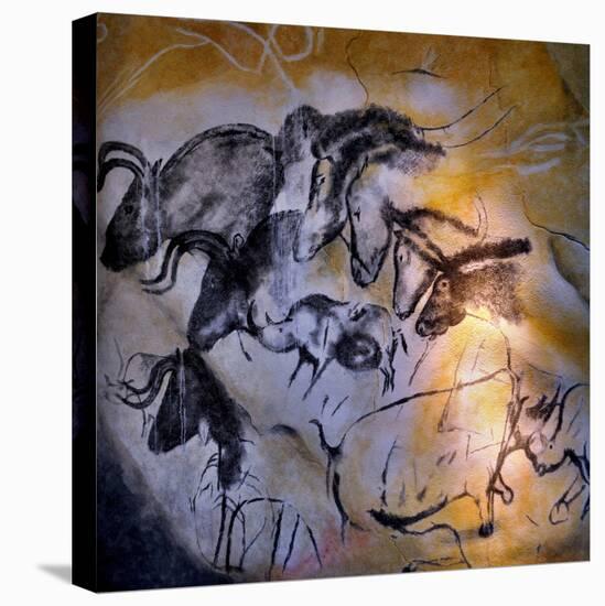 Painting in the Chauvet Cave, 32,000-30,000 Bc-null-Premier Image Canvas