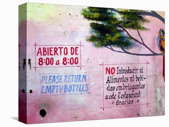 Painting of Parrot in Tree, Puerto Vallarta, Mexico-Nancy & Steve Ross-Premier Image Canvas