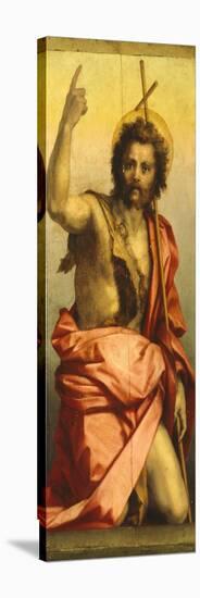 Painting of St John the Baptist-Andrea del Sarto-Premier Image Canvas