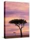 Pair of Accasia Trees at dawn, Masai Mara, Kenya-Adam Jones-Premier Image Canvas